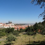 DSC03897