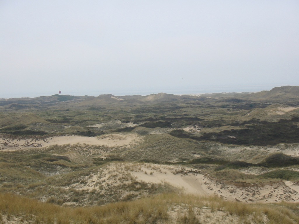 Dünen mit Quermarkenfeuer.JPG