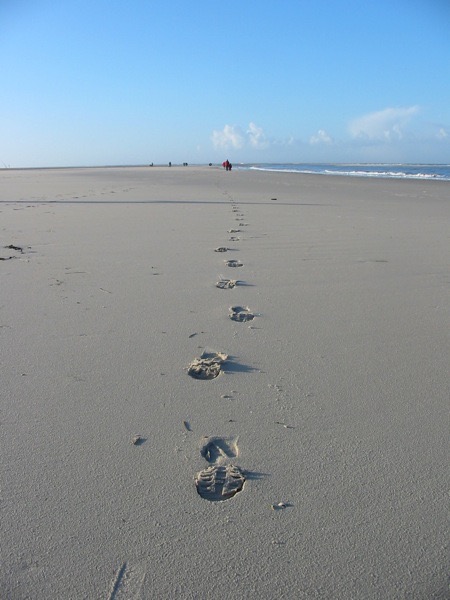 FussspurenImSand.jpg