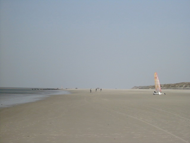 Strandsegler.jpg