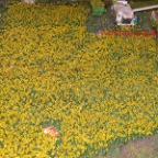 IMG_1541.JPG