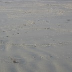 IMG_2125.JPG