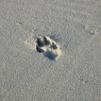 IMG_2138.JPG