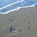 IMG_2145.JPG