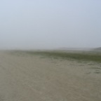 IMG_2471.JPG